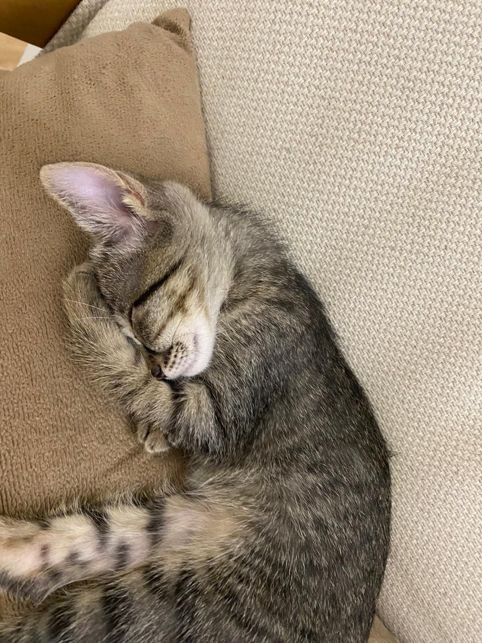 Cute way to sleep