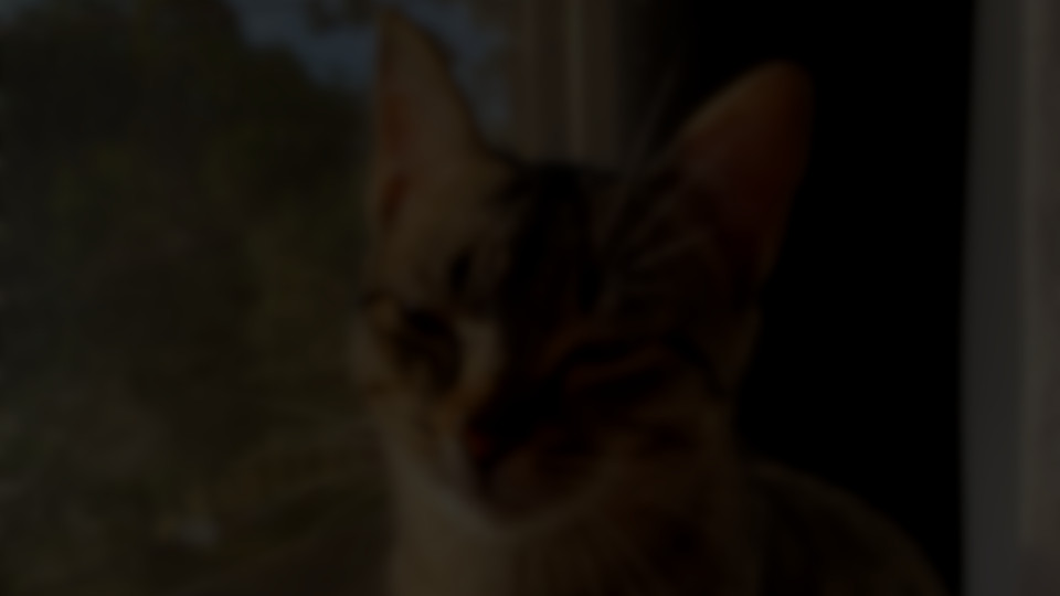 /img/card.jpg